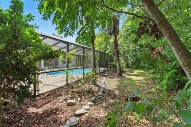 Majestic oak trees and sago palms welcome you to this beautiful on Sugarmill Woods Golf and Country Club in Florida - for sale on GolfHomes.com, golf home, golf lot