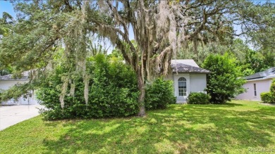 Majestic oak trees and sago palms welcome you to this beautiful on Sugarmill Woods Golf and Country Club in Florida - for sale on GolfHomes.com, golf home, golf lot