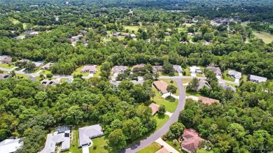 Majestic oak trees and sago palms welcome you to this beautiful on Sugarmill Woods Golf and Country Club in Florida - for sale on GolfHomes.com, golf home, golf lot