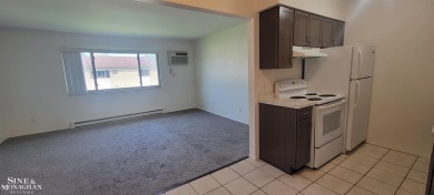 Well maintained Wildwood condo in Marysville! This 2 bedroom 1 on Marysville Golf Course in Michigan - for sale on GolfHomes.com, golf home, golf lot