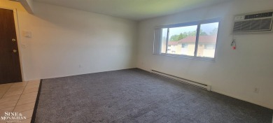 Well maintained Wildwood condo in Marysville! This 2 bedroom 1 on Marysville Golf Course in Michigan - for sale on GolfHomes.com, golf home, golf lot