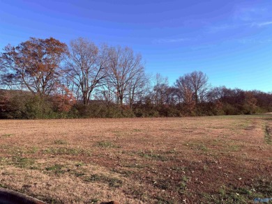 Almost on the Tee Box! Here is a massive lot in Plantation on Goose Pond Colony Resort - Plantation Golf Course in Alabama - for sale on GolfHomes.com, golf home, golf lot