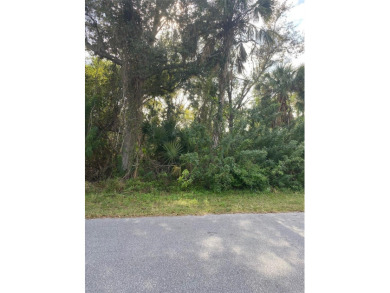 Great location. Build your dream home.  Plenty of room to build on Port Charlotte Golf Club in Florida - for sale on GolfHomes.com, golf home, golf lot