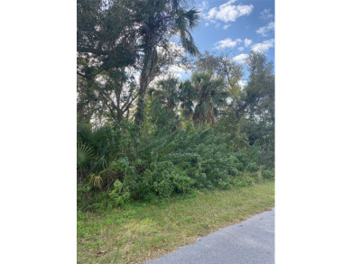 Great location. Build your dream home.  Plenty of room to build on Port Charlotte Golf Club in Florida - for sale on GolfHomes.com, golf home, golf lot