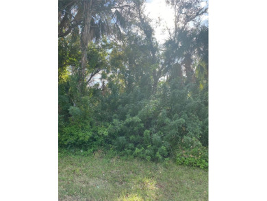 Great location. Build your dream home.  Plenty of room to build on Port Charlotte Golf Club in Florida - for sale on GolfHomes.com, golf home, golf lot
