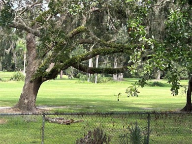 FANTASTIC INVESTMENT OPPORTUNITY TO PICK UP THIS FIXER UPPER IN on Seven Springs Golf and Country Club in Florida - for sale on GolfHomes.com, golf home, golf lot