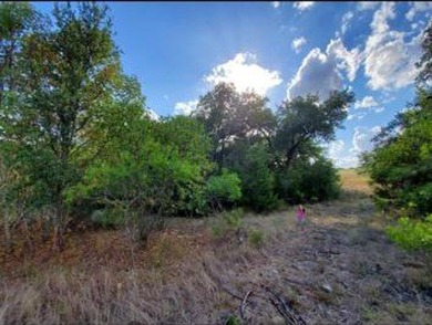 3 acre lot in The Retreat! Beautiful lot with lots of trees! on The Retreat in Texas - for sale on GolfHomes.com, golf home, golf lot
