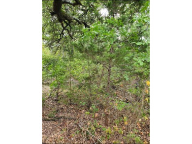 3 acre lot in The Retreat! Beautiful lot with lots of trees! on The Retreat in Texas - for sale on GolfHomes.com, golf home, golf lot