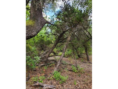 3 acre lot in The Retreat! Beautiful lot with lots of trees! on The Retreat in Texas - for sale on GolfHomes.com, golf home, golf lot