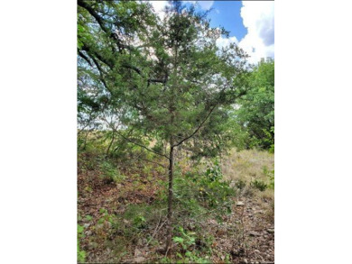 3 acre lot in The Retreat! Beautiful lot with lots of trees! on The Retreat in Texas - for sale on GolfHomes.com, golf home, golf lot