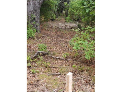 3 acre lot in The Retreat! Beautiful lot with lots of trees! on The Retreat in Texas - for sale on GolfHomes.com, golf home, golf lot