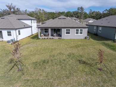 Turn-Key, Brand-New Home on Oversized Conservation Lot in on Southern Hills Plantation Club in Florida - for sale on GolfHomes.com, golf home, golf lot