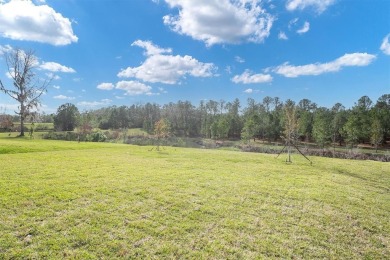 Turn-Key, Brand-New Home on Oversized Conservation Lot in on Southern Hills Plantation Club in Florida - for sale on GolfHomes.com, golf home, golf lot