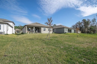 Turn-Key, Brand-New Home on Oversized Conservation Lot in on Southern Hills Plantation Club in Florida - for sale on GolfHomes.com, golf home, golf lot