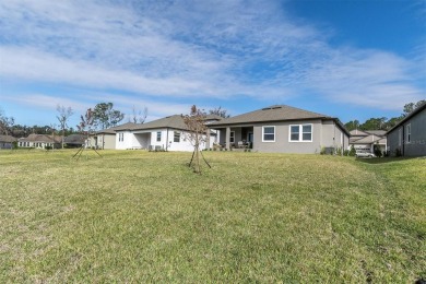 Turn-Key, Brand-New Home on Oversized Conservation Lot in on Southern Hills Plantation Club in Florida - for sale on GolfHomes.com, golf home, golf lot