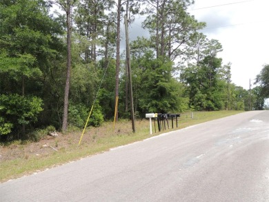 WILLISTON HIGHLANDS GOLF & COUNTRY CLUB PAVED ROAD BUILDING LOT on Williston Highlands Golf and Country Club in Florida - for sale on GolfHomes.com, golf home, golf lot