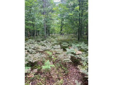Enjoy views of Culbertson Lake on this lot ocated in the on Voyager Village Country Club - Voyager in Wisconsin - for sale on GolfHomes.com, golf home, golf lot