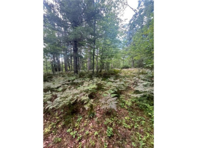 Enjoy views of Culbertson Lake on this lot ocated in the on Voyager Village Country Club - Voyager in Wisconsin - for sale on GolfHomes.com, golf home, golf lot