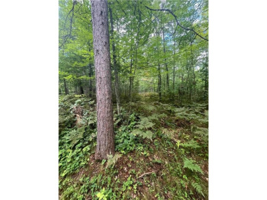 Enjoy views of Culbertson Lake on this lot ocated in the on Voyager Village Country Club - Voyager in Wisconsin - for sale on GolfHomes.com, golf home, golf lot