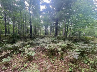 Enjoy views of Culbertson Lake on this lot ocated in the on Voyager Village Country Club - Voyager in Wisconsin - for sale on GolfHomes.com, golf home, golf lot