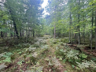 Enjoy views of Culbertson Lake on this lot ocated in the on Voyager Village Country Club - Voyager in Wisconsin - for sale on GolfHomes.com, golf home, golf lot