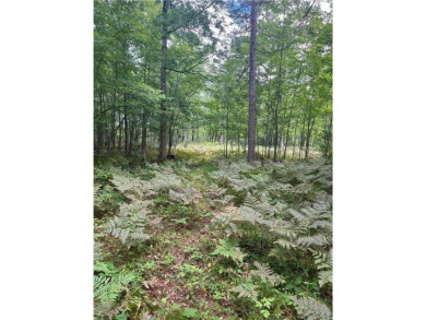 Enjoy views of Culbertson Lake on this lot ocated in the on Voyager Village Country Club - Voyager in Wisconsin - for sale on GolfHomes.com, golf home, golf lot