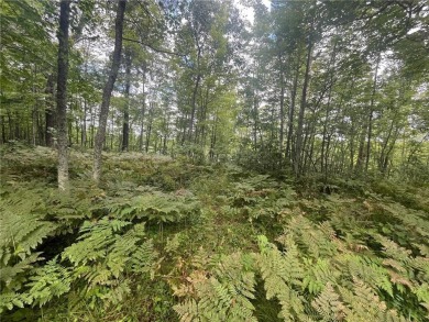 Enjoy views of Culbertson Lake on this lot ocated in the on Voyager Village Country Club - Voyager in Wisconsin - for sale on GolfHomes.com, golf home, golf lot