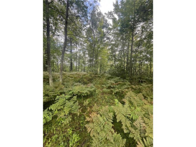 Enjoy views of Culbertson Lake on this lot ocated in the on Voyager Village Country Club - Voyager in Wisconsin - for sale on GolfHomes.com, golf home, golf lot