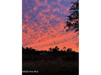 This meticulously maintained 2400 square foot home, nestled in on Castle Bay Golf and Country Club in North Carolina - for sale on GolfHomes.com, golf home, golf lot