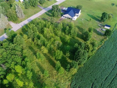 Build your showcase dream property on this park-like .73 acre on Geneva Golf Club in Minnesota - for sale on GolfHomes.com, golf home, golf lot