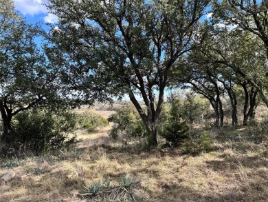 Amazing views overlooking Lake Bronwood an just across the road on Hideout Golf Club and Resort  in Texas - for sale on GolfHomes.com, golf home, golf lot