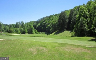 Tucked between Ellijay and Blue Ridge in the sought-after on White Path Golf Club in Georgia - for sale on GolfHomes.com, golf home, golf lot