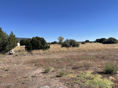 Big (.54acre) corner lot on a fully paved and maintained street on Silver Creek Golf Club in Arizona - for sale on GolfHomes.com, golf home, golf lot