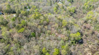 Build your dream home at 3352 Morning Mist Lane. Tucked away at on The Tradition Golf Club At Stonehouse in Virginia - for sale on GolfHomes.com, golf home, golf lot