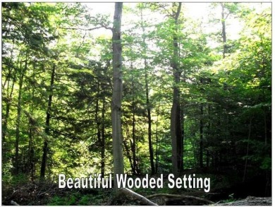 Beautiful wooded Green Theme building lots available in Harbor on Downing Golf Course in Pennsylvania - for sale on GolfHomes.com, golf home, golf lot