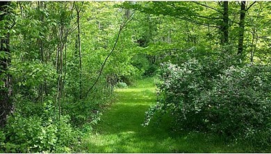 Beautiful wooded Green Theme building lots available in Harbor on Downing Golf Course in Pennsylvania - for sale on GolfHomes.com, golf home, golf lot