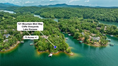 Discover an exceptional point lot in The Cliffs at Keowee on The Cliffs At Keowee Vineyards Golf Club in South Carolina - for sale on GolfHomes.com, golf home, golf lot