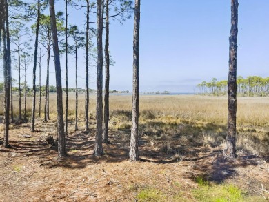 Bayfront Beauty in Sandestin Golf  Beach Resort - Fully Updated on Sandestin Golf and Beach Resort - The Links in Florida - for sale on GolfHomes.com, golf home, golf lot