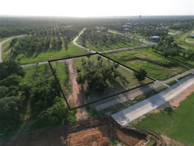 Don't miss your opportunity to live with your airplane on the on Pecan Plantation Country Club in Texas - for sale on GolfHomes.com, golf home, golf lot
