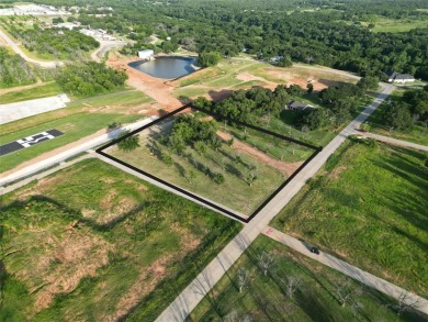 Don't miss your opportunity to live with your airplane on the on Pecan Plantation Country Club in Texas - for sale on GolfHomes.com, golf home, golf lot