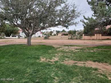 Build your home on the best golf course in Sierra Vista.  One of on Pueblo Del Sol Country Club in Arizona - for sale on GolfHomes.com, golf home, golf lot