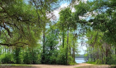 Rare opportunity to own three adjoining lots totaling on Sunny Hills Golf and Country Club in Florida - for sale on GolfHomes.com, golf home, golf lot