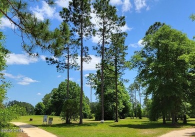 Rare opportunity to own three adjoining lots totaling on Sunny Hills Golf and Country Club in Florida - for sale on GolfHomes.com, golf home, golf lot