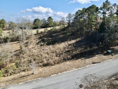 Nestled on a serene golf course, this spacious 0.66-acre lot on Oakview Golf and Country Club in Georgia - for sale on GolfHomes.com, golf home, golf lot