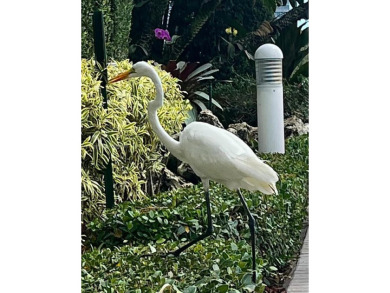 Experience living in a vibrant community with everything at your on Turnberry Isle Resort and Club in Florida - for sale on GolfHomes.com, golf home, golf lot