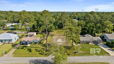 LARGE residential lot in Gulf Shores that is BUILD READY!  The on The Golf Club of the Wharf in Alabama - for sale on GolfHomes.com, golf home, golf lot