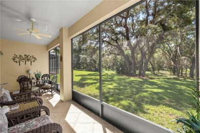 Welcome to Your Private Paradise in Terra Vista! Nestled within on Skyview At Terra Vista Golf and Country Club in Florida - for sale on GolfHomes.com, golf home, golf lot