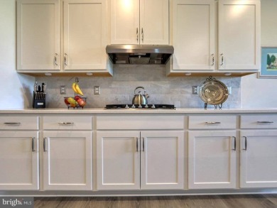 18169 White Cedar Court offers a rare combination of modern on The Rookery Golf Club in Delaware - for sale on GolfHomes.com, golf home, golf lot
