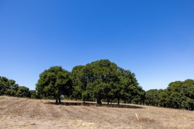 Welcome to one of the most sought after communities along the on Tehama Golf Club in California - for sale on GolfHomes.com, golf home, golf lot