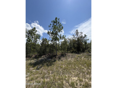 Beautiful, over sized .34/acre high-and-dry/flat lot located in on Sunny Hills Golf and Country Club in Florida - for sale on GolfHomes.com, golf home, golf lot